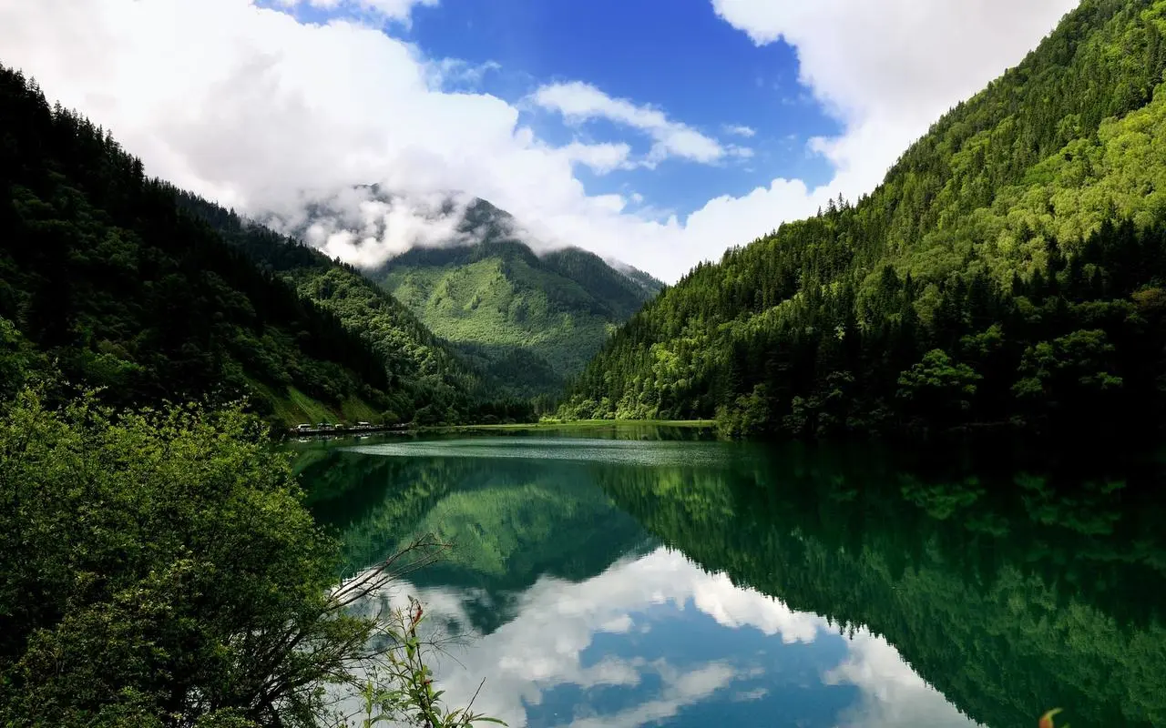 高效高性能高端